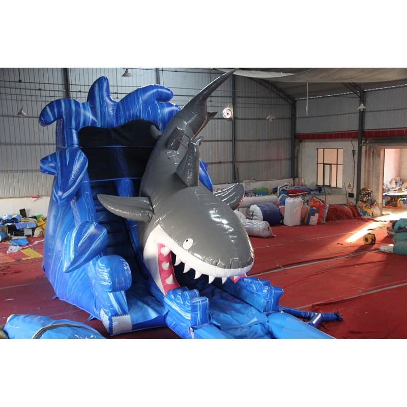 Toboggan Aquatique Requin avec Piscine Gonflable